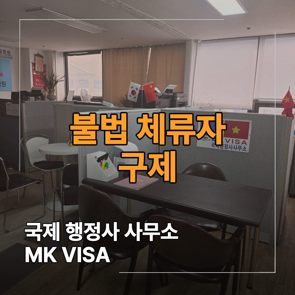 불법체류자 구제 비자 재입국 절차 신고 방법